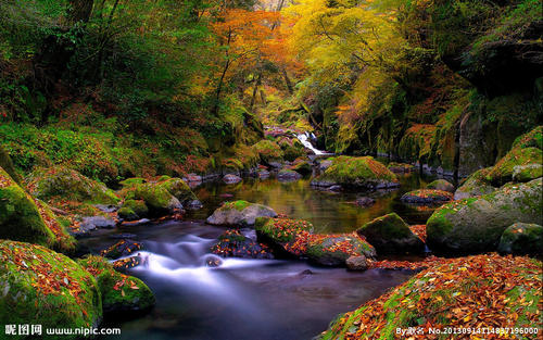 描述美丽风景的句子