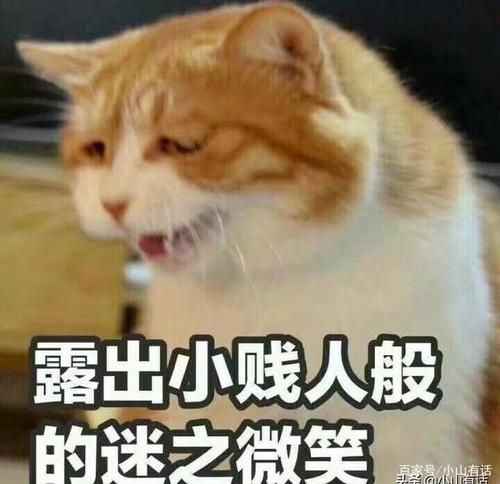 哈哈有趣的笑话