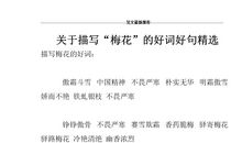 赞美梅花的好词好句