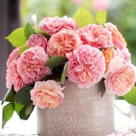 令人窒息的句子