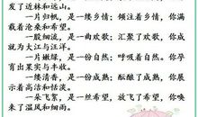 描写爱心的排比句