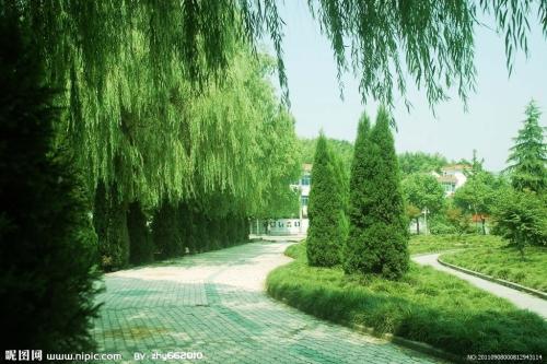 描述路边风光的句子