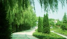 描写路边风景的句子