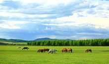 赞美大草原的诗句