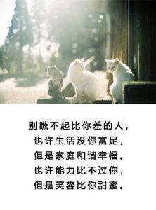 审美和现实的句子