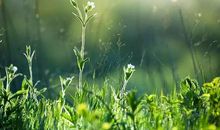 反映风景优美的词语