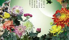 描述露珠的句子