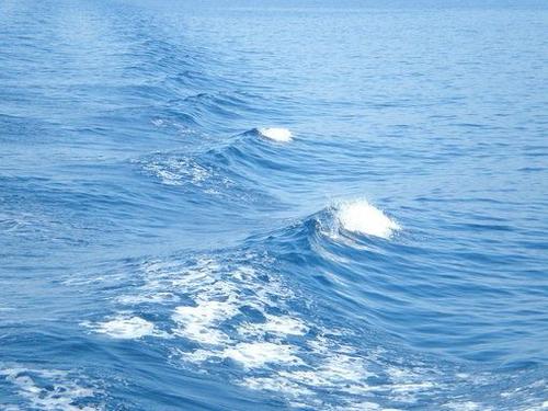 关于大海的漂亮句子