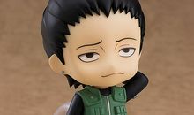 奈良鹿丸经典语录