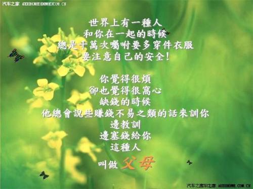 美丽的句子描述母爱