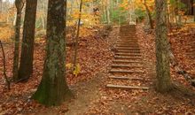 描写落叶经典句子