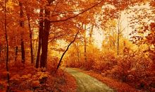 描写秋天的景色