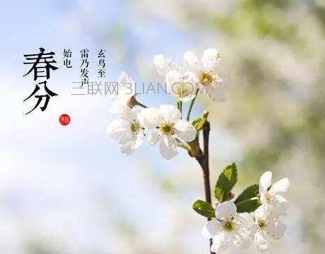 有花的诗句是什么