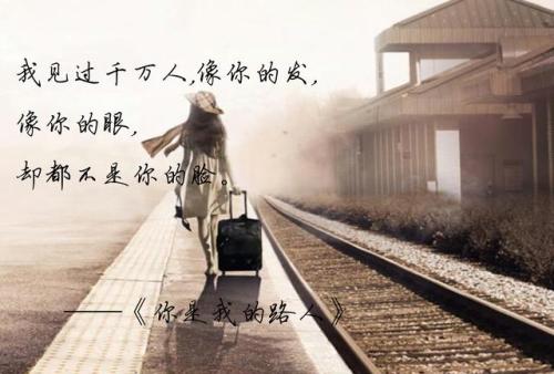 深情而又美的句子