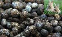 社会重口味网名