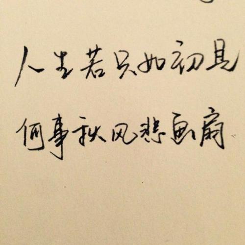 浪漫爱情英语句子