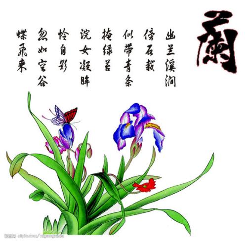 写兰花诗句