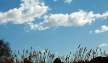 形容晴天的句子