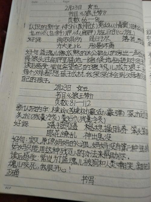 好的单词和句子