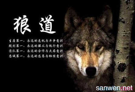 狼鼓舞人心的句子