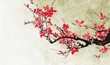 梅花和荷花的诗句