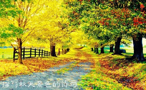 描述秋天的声明