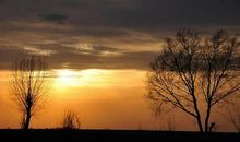 思念家乡及亲人的句子