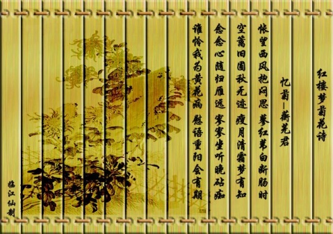 描述菊花外观的句子