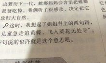 昆虫记的优美句子