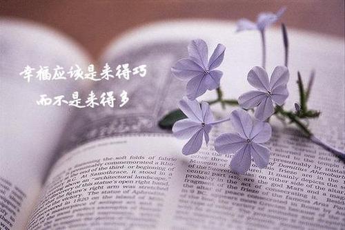 简短的美丽句子