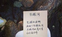 表达失眠的诗词