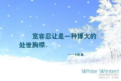 关于宽容的好句子