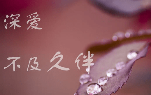 简洁优美的句子