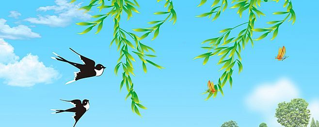 写柳树的好句子