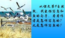 形容梦幻的句子