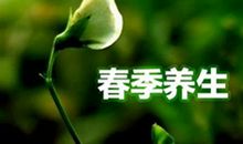 春季养生小常识短信