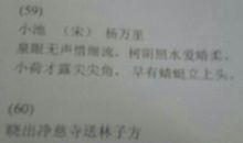 描写夏景风雨的诗句