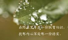 形容美丽的句子