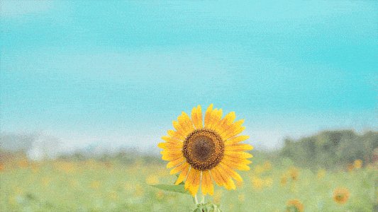 在生日1上向朋友圈发送祝福语