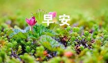 微信祝福语大全