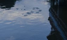 特别难受想哭的伤感说说 一秒泪崩的伤感句子