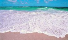 描写海洋的诗句