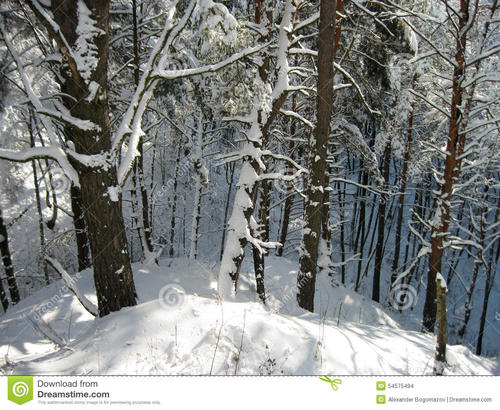 一个很好的部分描述了寒冷的冬天