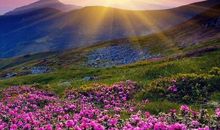 魔剑录经典语句