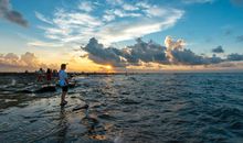 寄予希望的句子