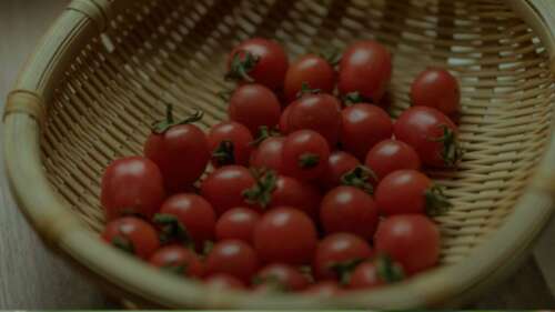 2020年感觉生活不轻松的经典句子感觉生活不容易的句子1