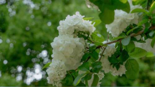 感觉生活不容易的2020年经典句子感觉生活不容易的句子