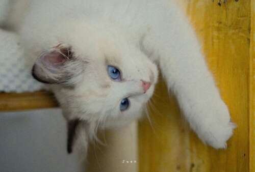 努力成为优秀句子的女孩励志性谈论女孩变得优秀2