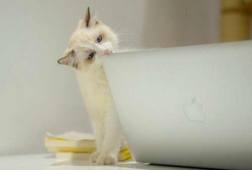 努力工作的女孩成为优秀的句子