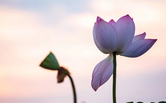夏季大阳节祝福大叔祝福夏天1